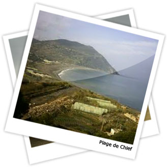 CHLEF 