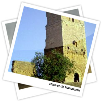 TLEMCEN 